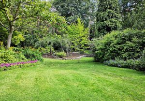 Optimiser l'expérience du jardin à Eguelshardt